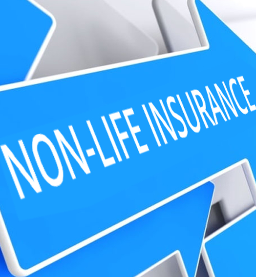 nonlifeinsurance